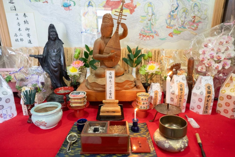 思いに寄り添うペット葬儀