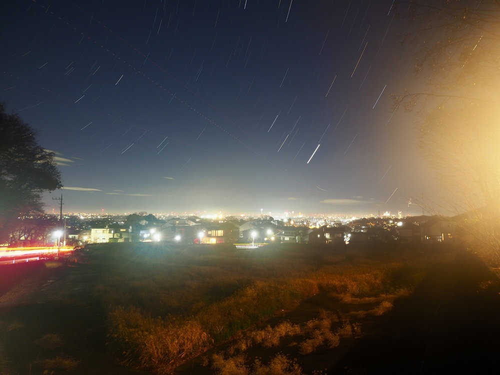 2025年の年間収支報告