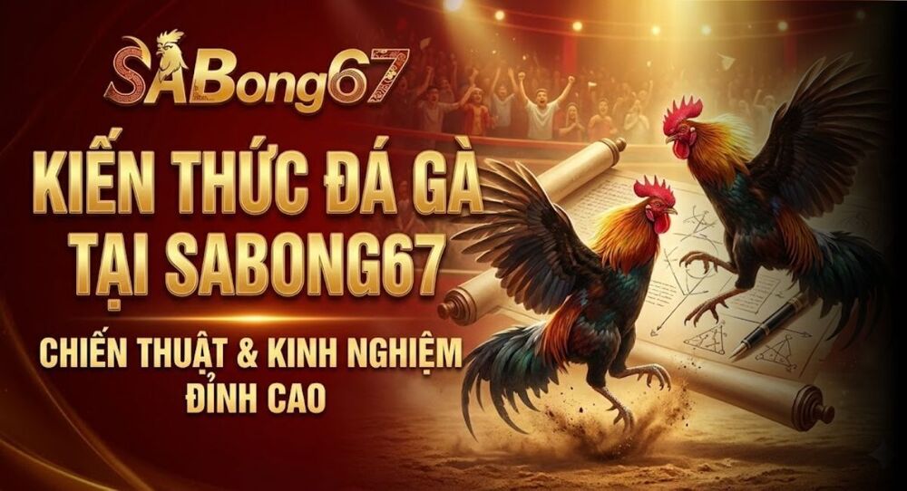 Cập Nhật Kiến Thức Đá Gà – Kinh Nghiệm Chơi Gà Đá Dành Cho Người Mới