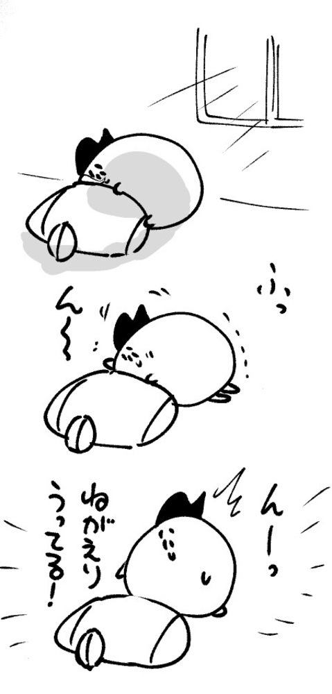 2026年1月13日 まちゅがき