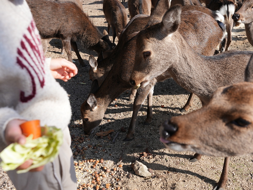 Googleに認められた日
