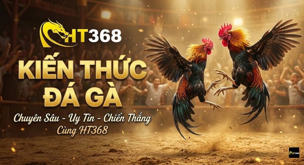 Tổng Hợp Những Kiến Thức Đá Gà Chuẩn Nhất Tại HT368