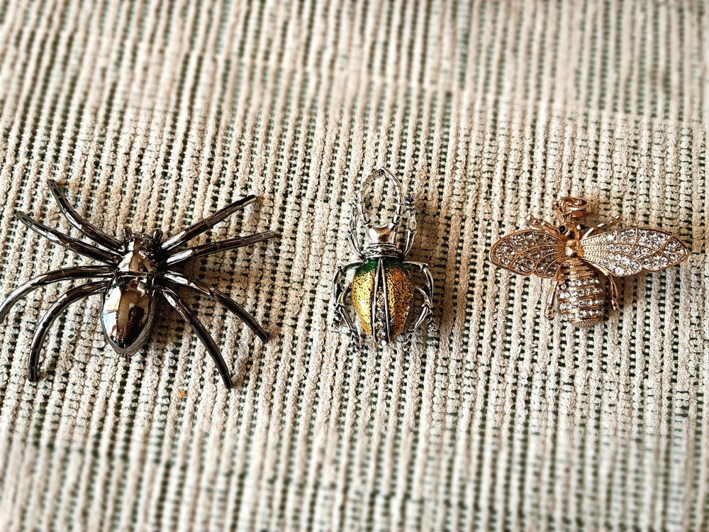 【近況】12月の活動報告