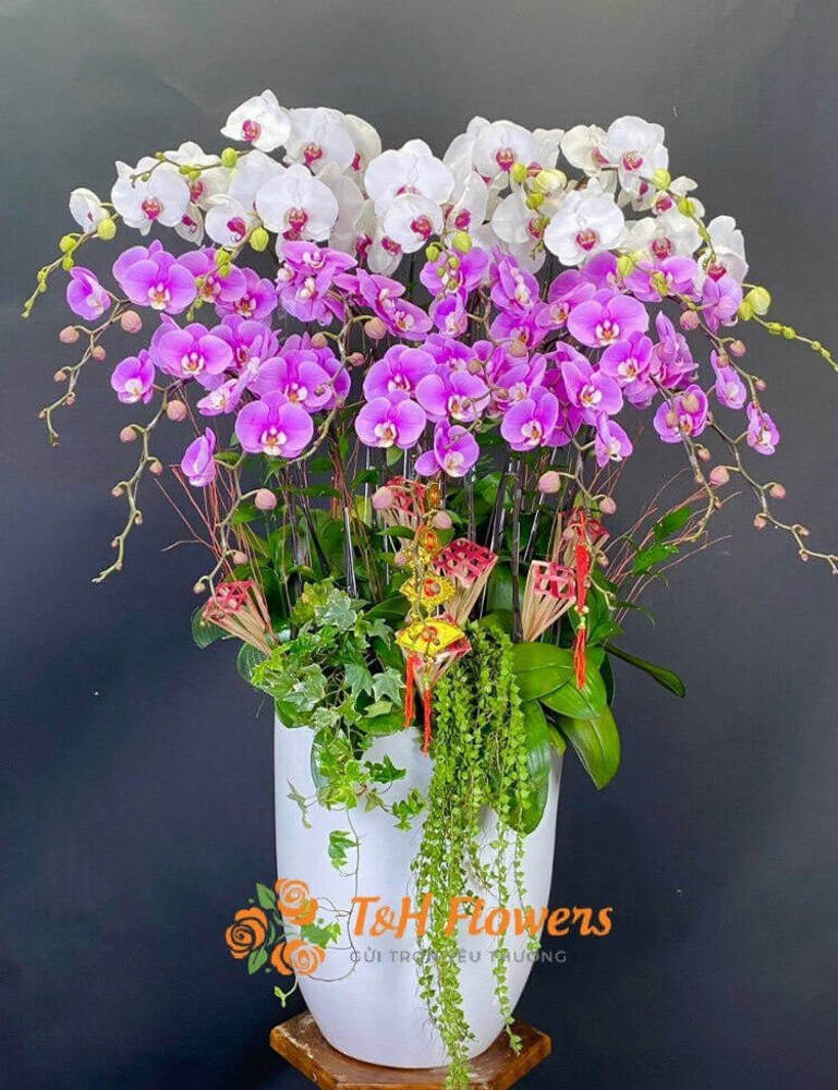 100+ Mẫu hoa tặng sếp sang trọng – Chuẩn quà doanh nghiệp