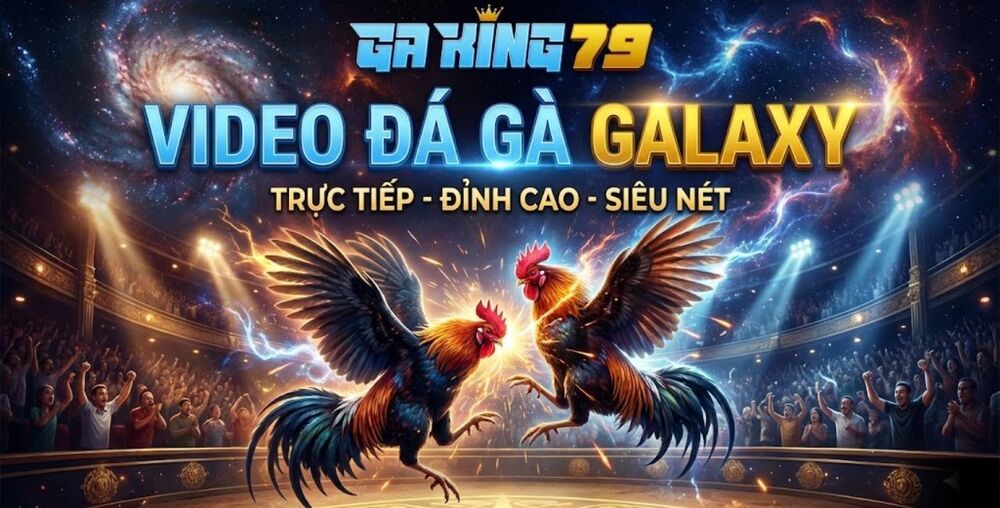 Video Đá Gà Galaxy – Tổng Hợp Các Trận Đấu Tại Bồ Gà Galaxy Long Bình Trên GAKING79