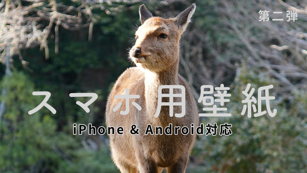 サポーター限定｜壁紙セット 第２弾