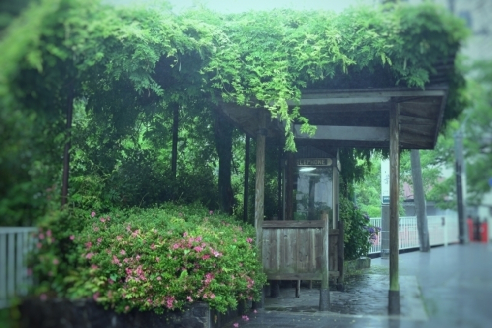 お題1「雨宿り」