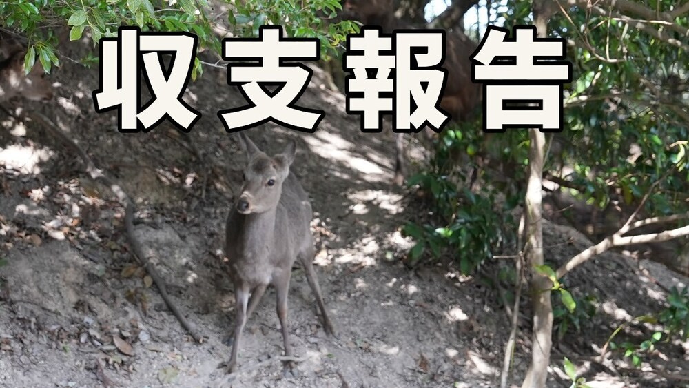 【限定動画】いつくしか収支報告の詳細です