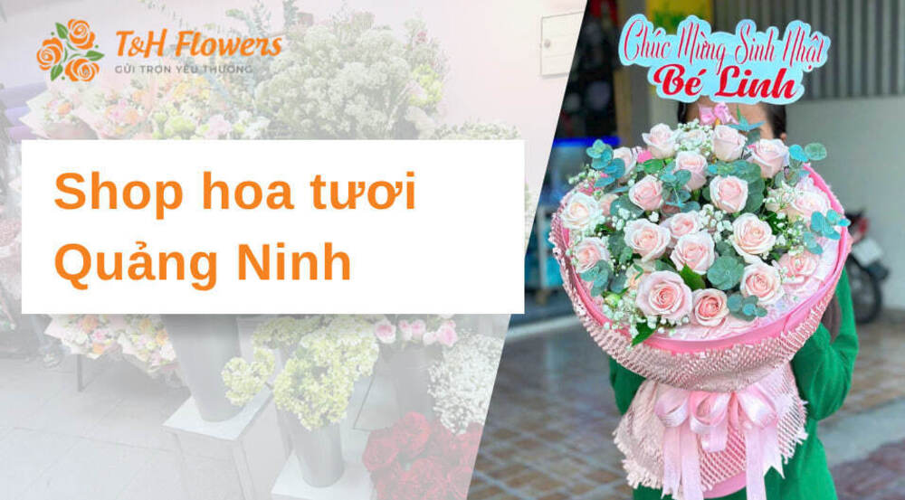Shop hoa tươi Quảng Ninh – Giao nhanh, hoa đẹp, giá tốt nhất