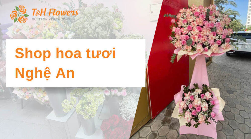 Shop hoa tươi Nghệ An – Hoa đẹp, giá tốt, dịch vụ tận tâm