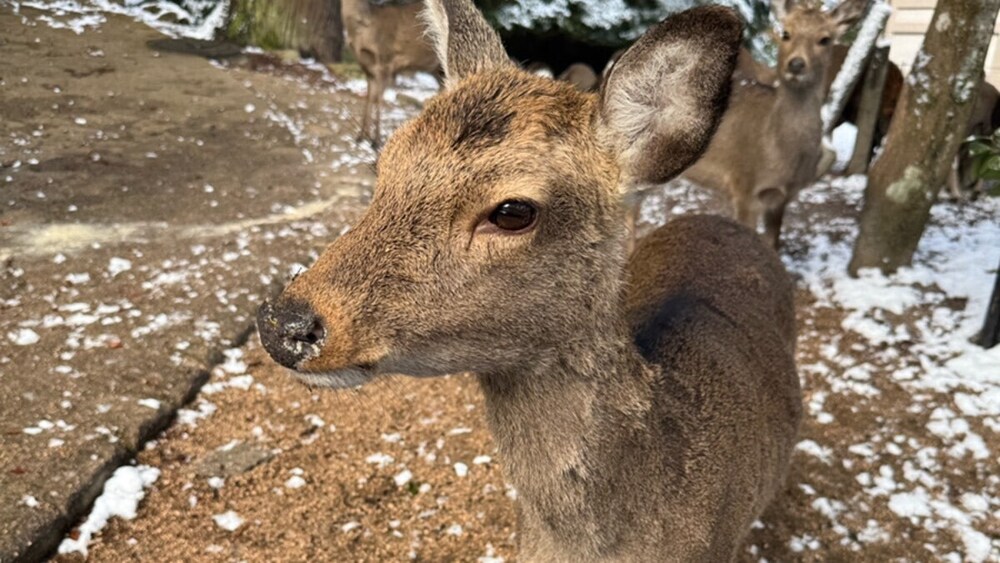 魂がよろこぶ活動（たま活）