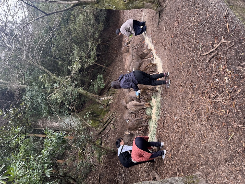 給餌活動のご報告と、車両購入のお知らせ