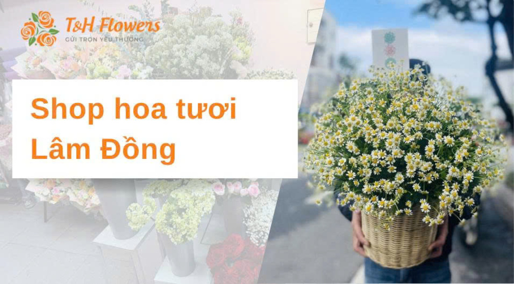 Shop hoa tươi Lâm Đồng – Nơi gắn kết cảm xúc bằng hoa
