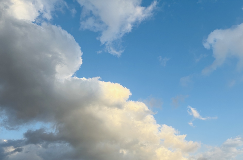 お休み理由は自分探し