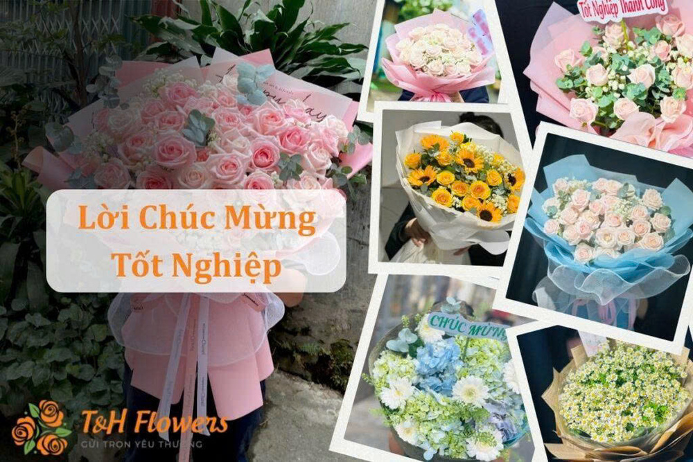 Lời Chúc Mừng Tốt Nghiệp Hay Nhất Cho Hành Trình Thắp Lửa Tương Lai