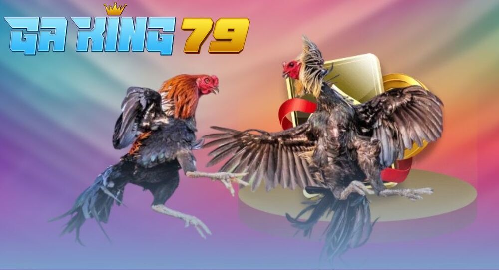 GAKING79 - SÂN CHƠI ĐỈNH CAO DÀNH CHO DÂN CHƠI ĐÁ GÀ