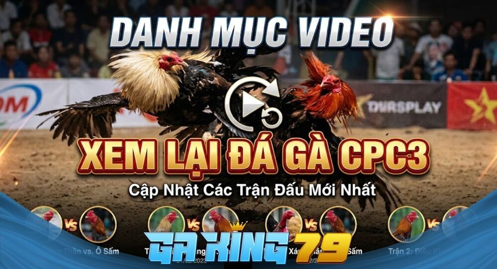 Xem Lại CPC3 - Tổng Hợp Các Trận Thư Hùng Đỉnh Cao Bồ CPC3 Tại GAKING79