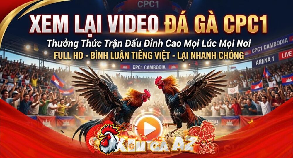 Phát Lại CPC1 – Xem Lại Các Trận Đá Gà Tại Bồ Gà CPC1 Trên Xóm Gà AZ