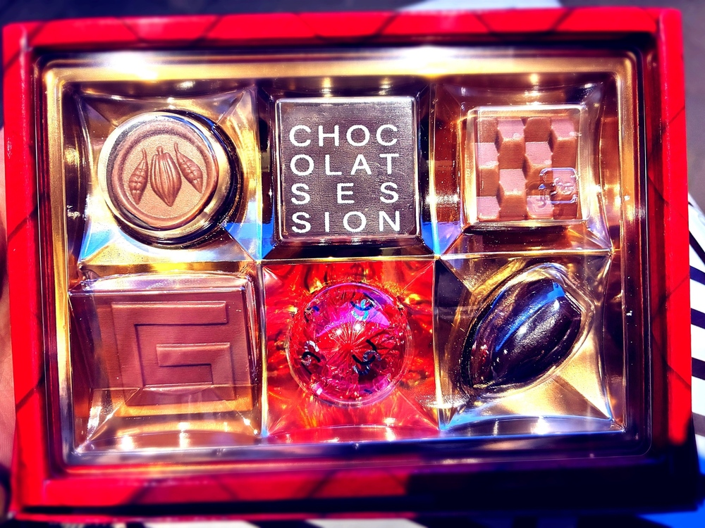 【近況】2月の活動報告