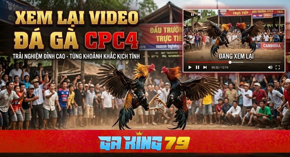 Video Đá Gà CPC4 – Tổng Hợp Các Trận Đá Gà Hay Nhất Tại Bồ Gà C4 trên GAKING79