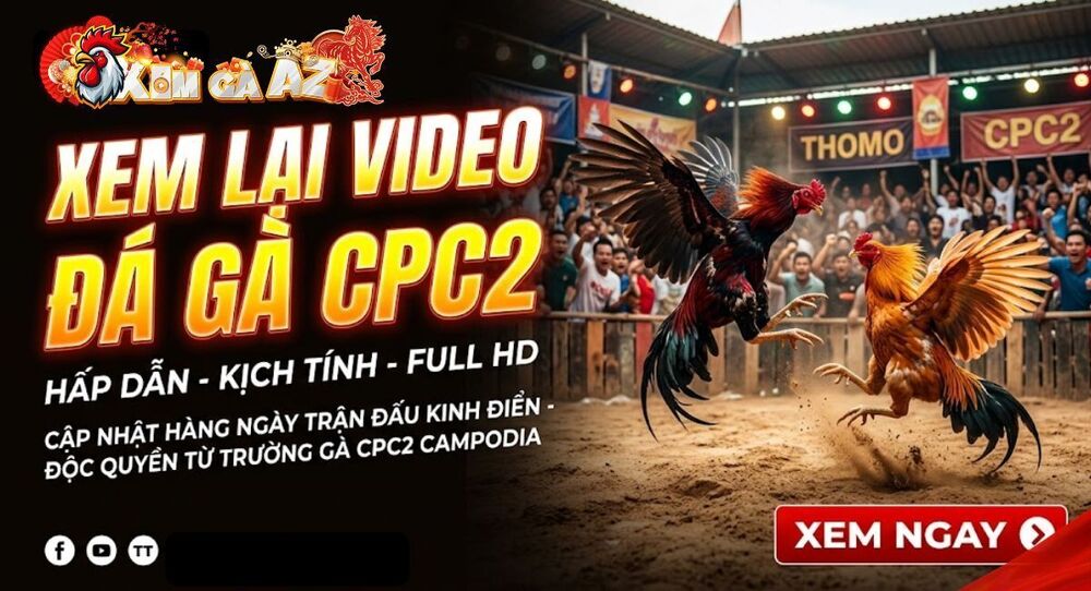 Phát Lại CPC2 – Xem Lại Các Trận Đá Gà Tại Bồ Gà CPC2 Trên Xóm Gà AZ
