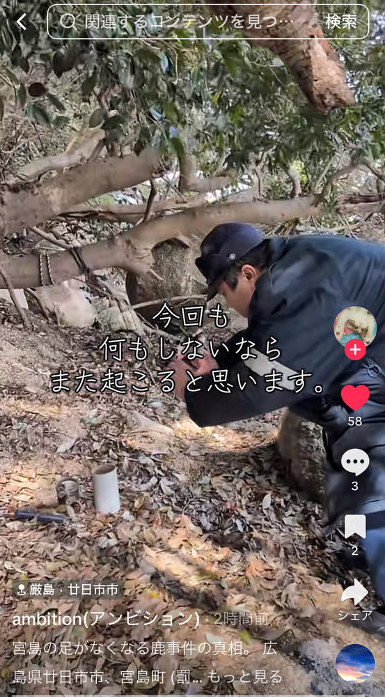 宮島でくくり罠が発見されました