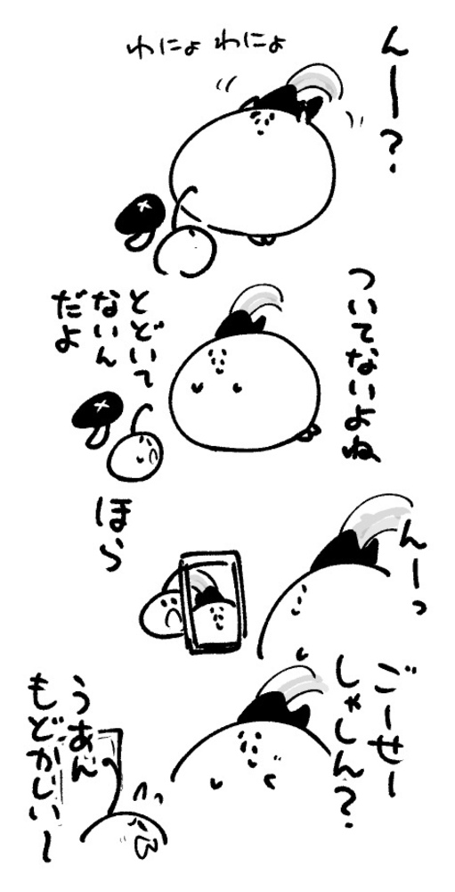 2026年3月22日 まちゅがき