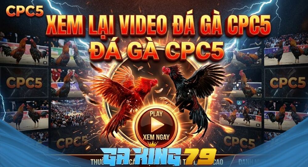 Video Đá Gà CPC5 – Tuyển Tập Các Trận Đá Gà Hấp Dẫn Nhất Tại Bồ Gà C5 Trên GAKING79