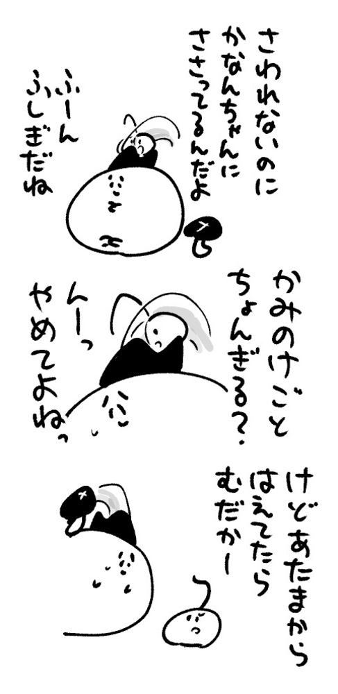 2026年3月24日 まちゅがき