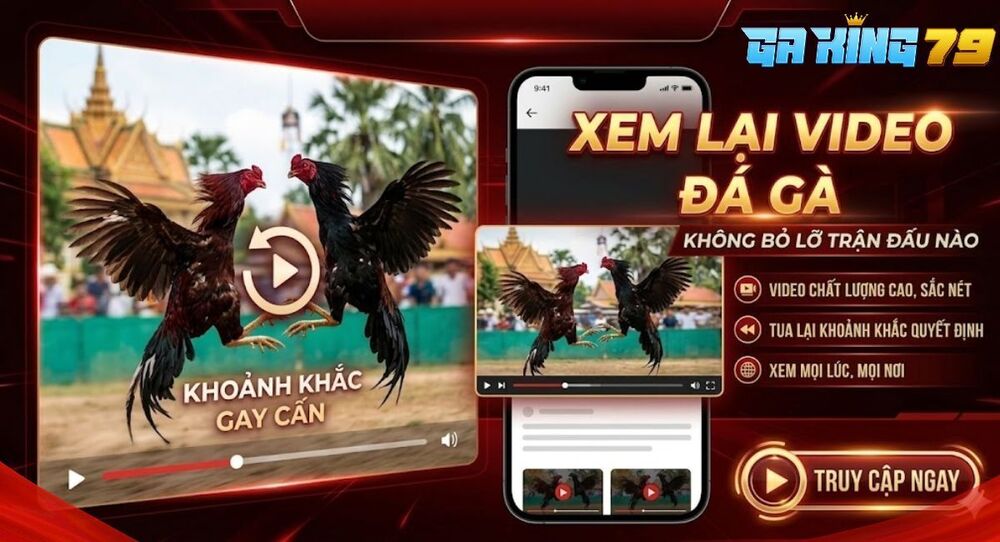 Video Đá Gà Tonhon – Xem Lại Những Trận Đá Gà Tại Bồ Gà Tonhon Trên GAKING79