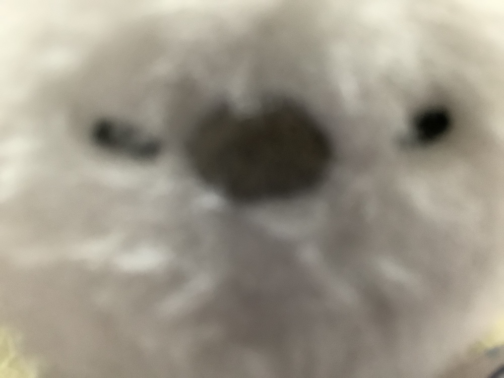 突然のお知らせ