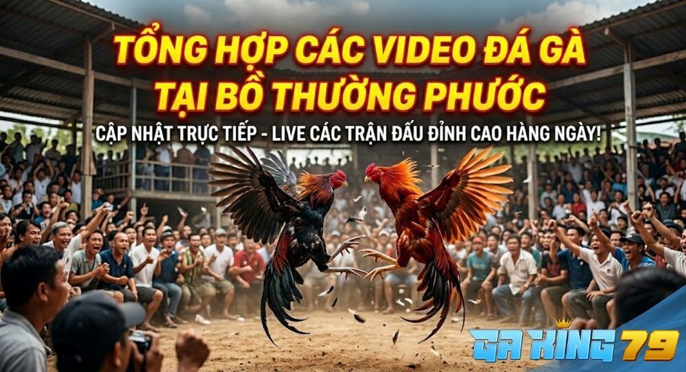 Bồ Thường Phước - Tổng Hợp Các Trận Đấu Tại Bồ Thường Phước Trên GAKING79