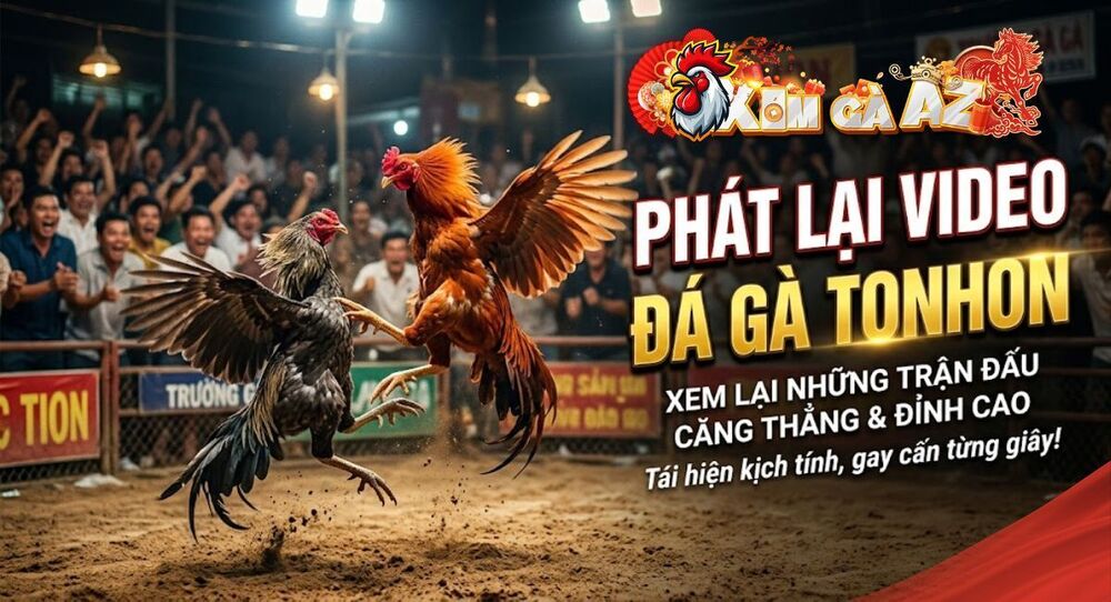 Phát Lại Tonhon – Tổng Hợp Các Trận Đấu Tại Bồ Tonhon Mỗi Ngày Trên Xóm Gà AZ