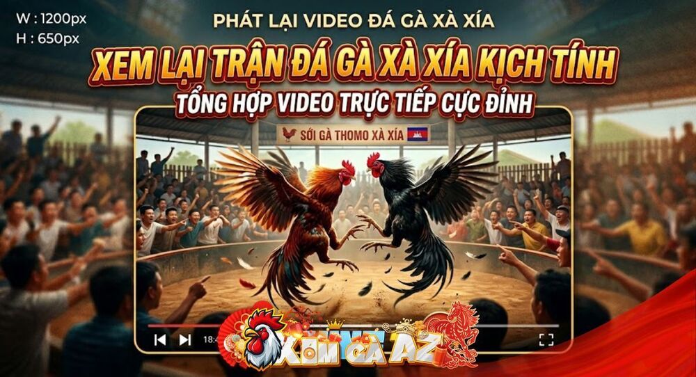 Phát Lại Xà Xía – Xem Lại Những Trận Đấu Đỉnh Cao Mỗi Ngày Trên GAKING79