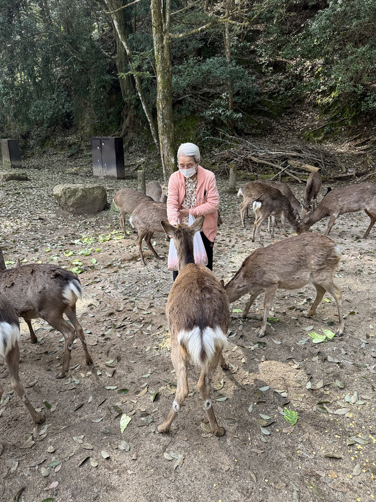 最近の活動についてのご報告と給餌写真