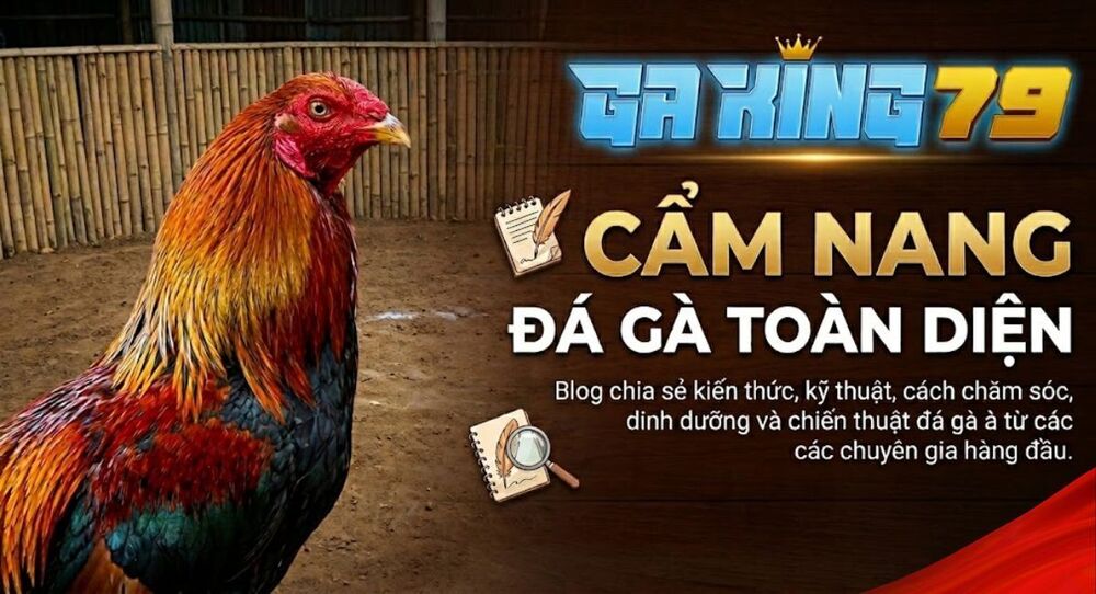 Blog Đá Gà – Chia Sẻ Các Thông Tin Hữu ích Về Đá Gà Trên GAKING79