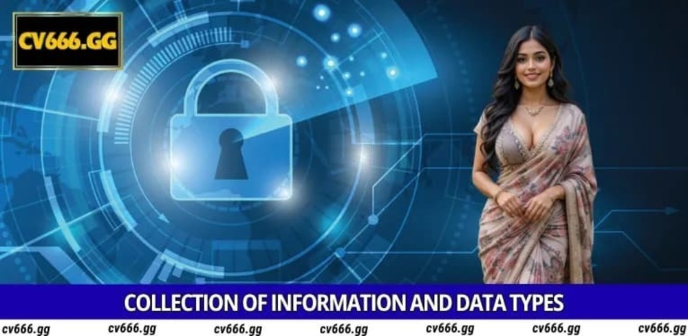 Privacy Policy – How CV666 Protects Your Personal Information