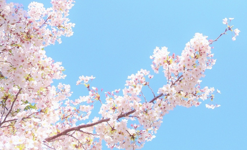 2026年度　時間割