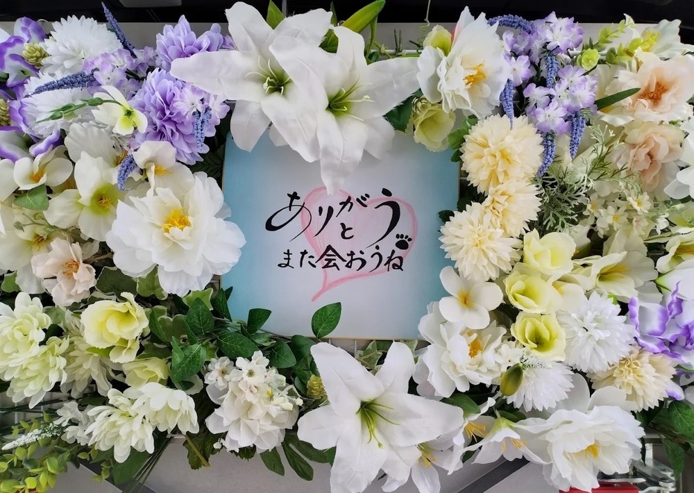 香川県、高松市でペット火葬の事なら【訪問ペット火葬 ひだまりの道 香川】