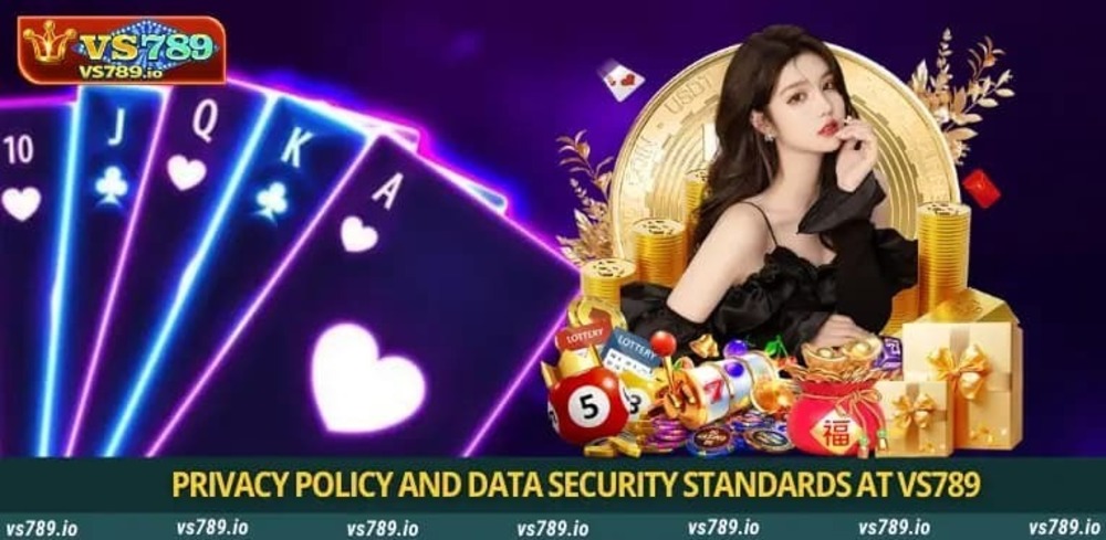 Privacy Policy and Data Security Standards at VS789
