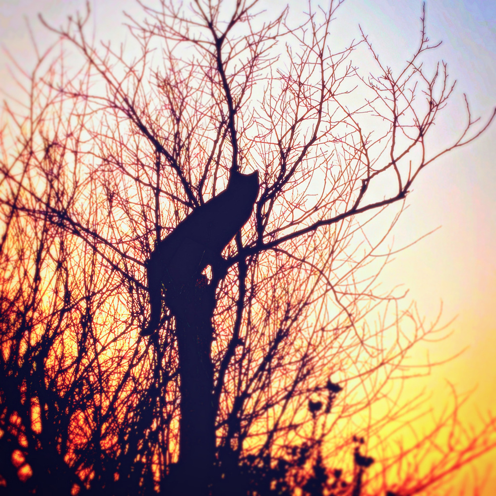 【近況】3月の活動報告