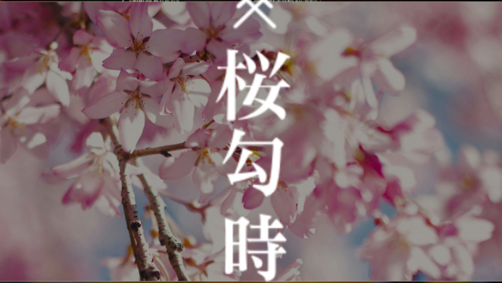 🌸桜勾時神社