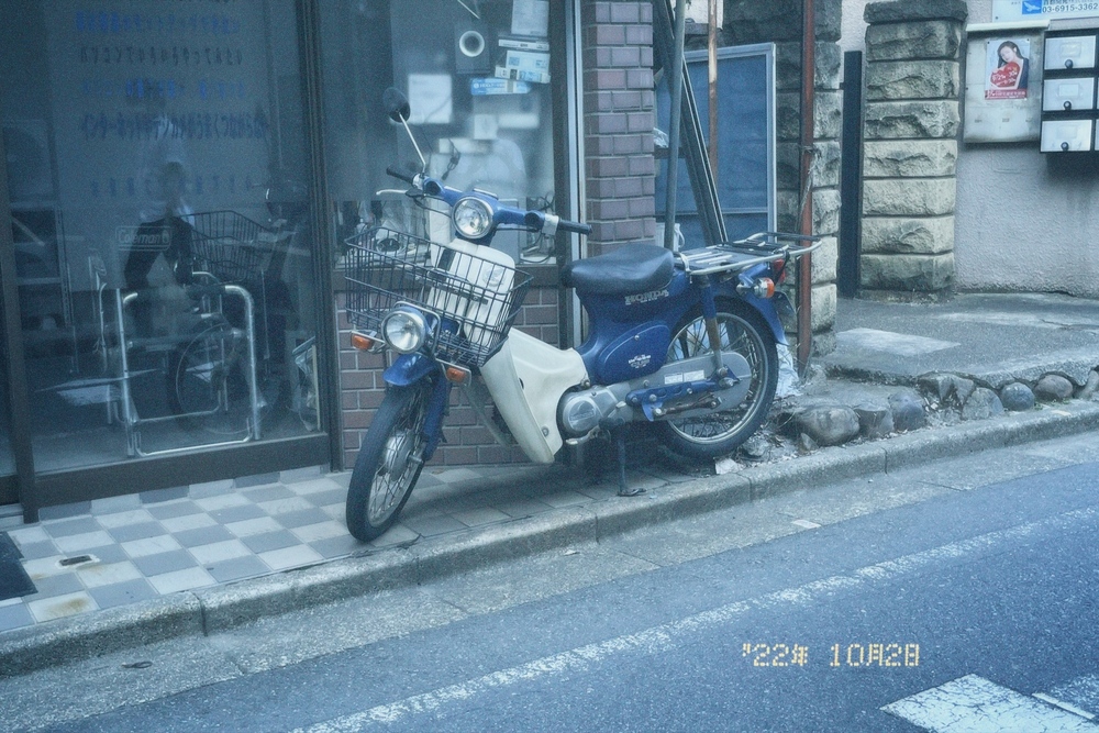 路地裏の、青い相棒