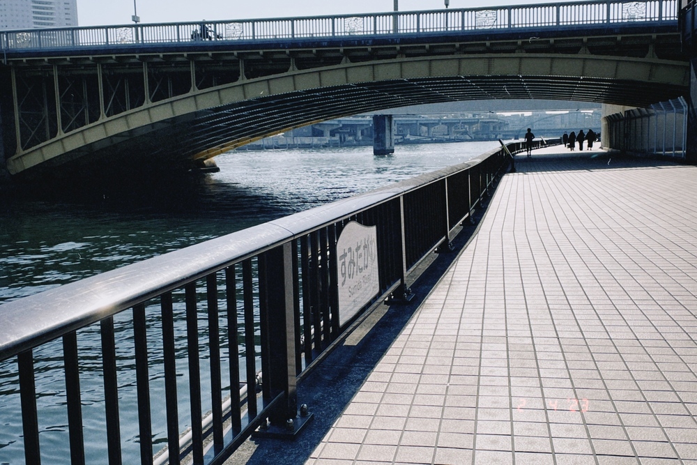 水辺の散歩道、光と影のストライプ