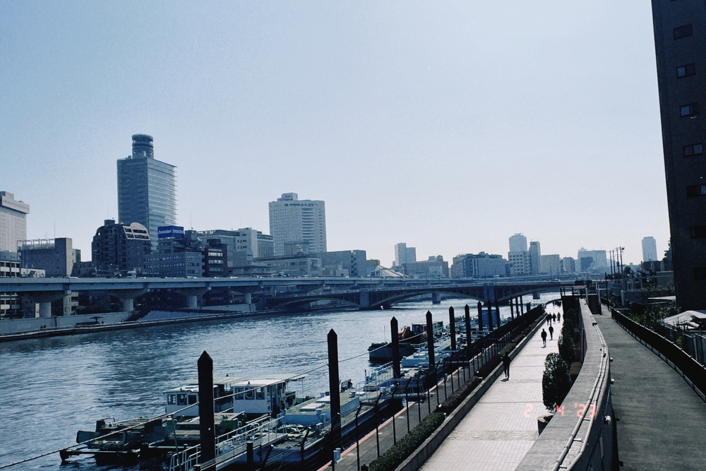 都会のオアシス、浮かぶ船とビル群