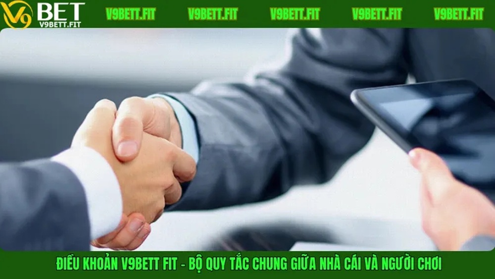 Những sai lầm phổ biến khi bỏ qua Điều khoản V9bett Fit