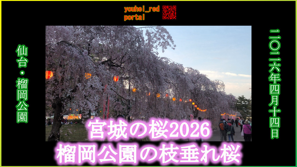 「【宮城の桜2026】仙台 榴岡公園 2026/04/14」の動画を公開しました