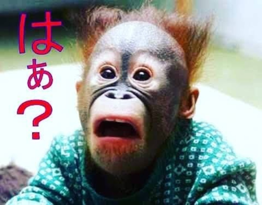 更新⇒俺は出来た人間｜高田日記