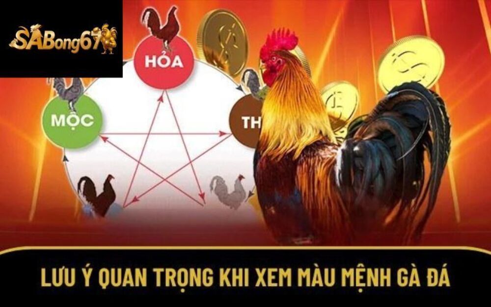Cách Xem Màu Mạng Gà Đá Hay Dành Cho Sư Kê