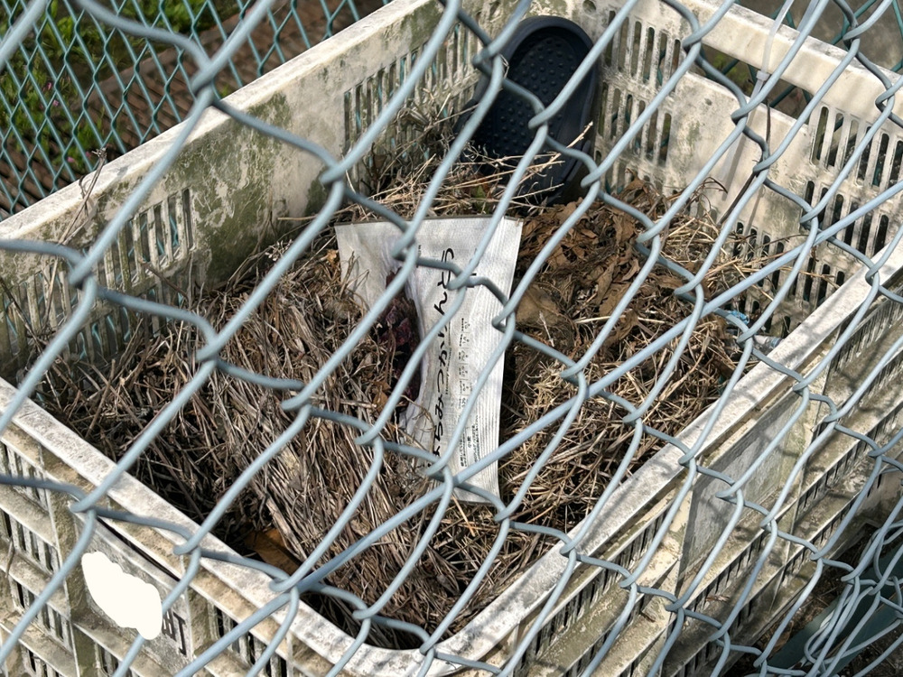 早起きすると、ちょっぴりお得